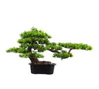 DYHWAC Decorazione morbida del club 'hotel portico della casa dei bonsai radice di rododendro