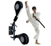 DYK&NX Montaggio a Parete Taekwondo Kick Pad Target, Boxing Accessori per Allenamento Kung Chun, Supporto a Molla a 3 Combinazioni, per l'allenamento di Taekwondo(Double Target)