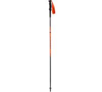 DYNAFIT - Alpine bastoncini - MainColorName (Taglia: 120)