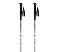 Dynafit Alpine Pro Poles Argento 115 cm