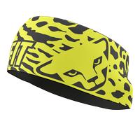 DYNAFIT - Fascia Graphic Performance - Verde (Taglia: UNI58)