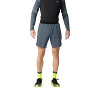 Dynafit Alpine Pro 2 In 1 Shorts Grigio 2XL Uomo