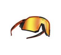 Dynafit Sky Evo - occhiali da ghiacciaio Red/Black unisex