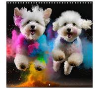 Dynamic Duo - Two Paws, One Leap (Wall Calendar 2027 12 × 12 Inch) CALVENDO 12 M