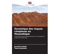 Dynamique des risques complexes au Mozambique: Cadre théorique et préliminaire pour comprendre la conjoncture nationale