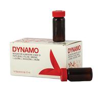 Dynamo 14 flaconcini da 10 ml