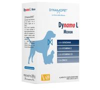 DYNAMO L MEDIUM 20STICK 10G