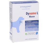 DYNAMO L MEDIUM 20 BUSTINE DA 10 G