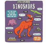 Dynamo Ltd. Little Explorers: Dinosaurs (Libro di cartone) Little Explorers