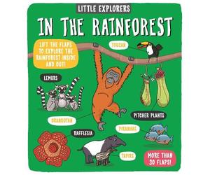 Dynamo Ltd. Little Explorers: In the Rainforest (Libro di cartone)