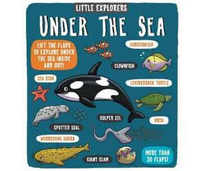 Dynamo Ltd. Little Explorers: Under the Sea (Libro di cartone) Little Explorers