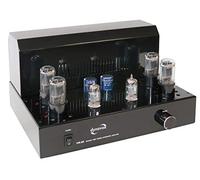 Dynavox VR-20 amplificatore integrato a valvole, amplificatore HiFi per un suono valvolare caldo, design vintage con griglia di protezione rimovibile, nero.