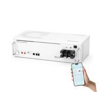 Dyness 24V 100Ah Batterie LiFePO4 con Bluetooth, BMS100A, 6000 Cicli Profondi, Supporto CAN & RS485, Batteria Solare al Litio Ferrofosfato da 2,56kWh per Impianto Solare Completo, Sistema Fotovoltaico