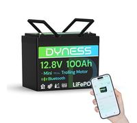 Dyness Batteria LiFePO4 12V 100Ah Bluetooth, Mini Batteria al Litio con BMS 100A, Protezione a Basse Temperature, per Nautica, Camper, Impianti Solari off-grid