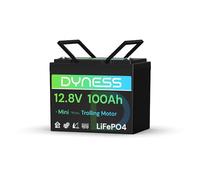 Dyness Batteria LiFePO4 12V 100Ah, Mini Batteria al Litio con BMS 100A, Protezione a Basse Temperature, per Nautica, Camper, Impianti Solari off-grid, Fotovoltaico Accumulo