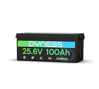 Dyness Batteria Litio LiFePO4 24V 100Ah con 100A BMS e Protezione Bassa Temperatura, Batteria 24V per Fotovoltaico Accumulo, Barche da Pesca Bass, Sistemi di Energia Rinnovabile, Camper (RV), Off-Grid