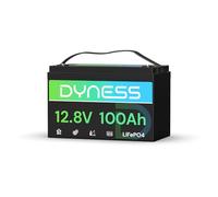 Dyness LiFePO4 Batteria al Litio 12V 100Ah a Ciclo profondo con 100A BMS, Protezione Dalle Basse Temperature, Per Campeggio, Barche, Accumulo Solare Domestico, Off-grid