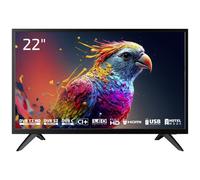Dyon D800238 Enter 22 Pro X2 TV LED 55 cm 22 pollici ERP E (A - G) CI+, DVB-C,