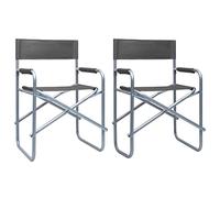 DYRJDJWIDHW Sedie da Regista Pieghevoli 2 Pezzi Grigio Acciaio, Sedia Camping Pieghevole con Braccioli per Spiaggia, Giardino, Esterno, Resistente e Comoda, Portatile, 110kg Capacità