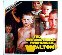 Dysfunctional Psychedelic Waltols - All Over My Face