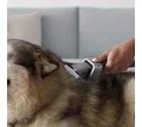 Dyson Kit per la cura degli animali