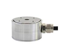 DYZ-101 Cella di carico a compressione in acciaio inossidabile Mini sensore di forza a pressione del pulsante 100 kg 300 kg 2 tonnellate 100 N 500 N 1 kN tipo colonna(30kg)