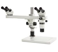 DZ.1604 Euromex Microscopio Stereoscopico Binoculare Zoom 8x - 50x