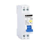 DZ30SLE Tipo A 220V 30MA mini interruttore differenziale 1P+N 10A 16A 20A 25A 32A protezione dalle perdite(16A)