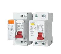 DZ40LE-63 Interruttore Automatico Differenziale RCBO 1P+N, Curva C 230 V CA 50 Hz, Intervento Con Dispersione 30 MA, Potere Di Interruzione 6 KA, MCB RCD Combinato Su Guida DIN(50A)