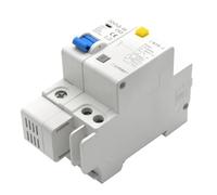 DZ47LE-63 Interruttore Automatico Di Protezione Dalle Perdite RCBO 30mA Protezione Da Sovraccarico E Cortocircuito 1P+N/2P/3P/3P+N/4P 16A 20A 40A 63A(32A,4P)