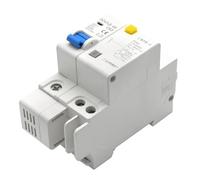 DZ47LE-63 Interruttore automatico for uso domestico in miniatura 1P/2P/3P/4P Interruttore aria con protezione dalle perdite Cancello principale trifase 1 pz(2P,32A)