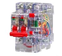 DZ47LE - Interruttore di corrente trasparente da 2P 6A a 63A, interruttore FI con protezione da perdite e sovraccarico, interruzione sicura per edifici (32 A)