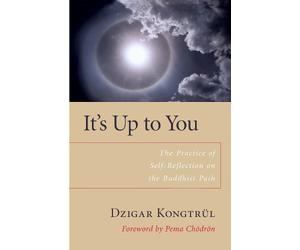 Dzigar Kongtrul It's Up to You (Tascabile)