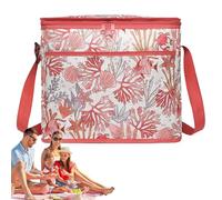 dzqad Borse Termiche,Porta Vivande Piegevole 18 Litri - Borsa Termica Morbida Impermeabile Portatile Per Pesca Piscina Escursioni Viaggio Vacanze Barca Auto Campeggio
