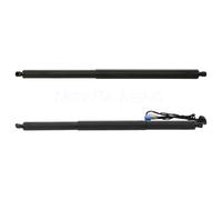 DZSDKHLFJ Molla A Gas Coppia di Montanti di Sollevamento per Portellone Elettrico DS73N402A55AE RH DS73N402A74AC per Ford per Mondeo 2015-2018 2019 2020 Molla A Gas Elettrico