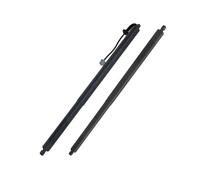 DZSDKHLFJ Molla A Gas LV4BS402A55BA per Ford per Escape 2019 2020 2021 2022 2023 Supporto per Portellone Posteriore Elettrico Molla A Gas Elettrico(A Pair)