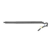 DZSQTGJKIO Molla A Gas 51247232004 per BMW X3 F25 Xdrive 2010-2017 Supporto Sollevamento Bagagliaio con Ammortizzatore A Gas Portellone Elettrico Posteriore Destro Ammortizzatore A Gas