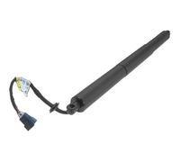 DZSQTGJKIO Molla A Gas 51249465654 per BMW X2 F39 2017-2020 Supporto di Sollevamento per Molle Pneumatiche per Bagagliaio Elettrico (LH RH Universale) Ammortizzatore A Gas