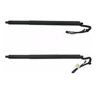 DZSQTGJKIO Molla A Gas Supporto di Sollevamento Elettrico per Portellone Posteriore, 2 Pezzi, Molla Ad Aria 51247232003 51247232004 per BMW X3 F25 2010-2017 Ammortizzatore A Gas