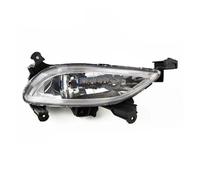 DZSQWETYU 1 Pz. Luce Di Direzione Alogena Anteriore Paraurti Fendinebbia Per Hyundai Per Sonata 2010 2011 2012 Led Fendinebbia Anteriore Per Auto(Sinistra)