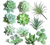 Dzxin Piantine Grasse Finte, 11 Pezzi Mini Piantine Grasse Piante Artificiali per Giardino Interno e Esterno Decorazione