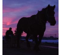 雪ã«é¡˜ã†ã“㨠オリジナル・サウンドトラック