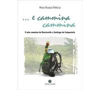 E cammina cammina. Il mio cammino da Roncisvalle a Santiago de Compostela