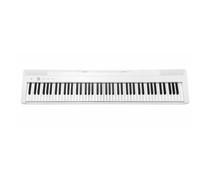 E-CHORD EP-88 WHITE