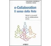 E-collaboration. Il senso della rete. Metodi e strumenti per la collaborazione online
