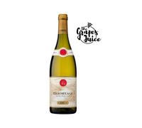 E. GUIGAL HERMITAGE BLANC 2019 VINO BIANCO RODANO FRANCIA