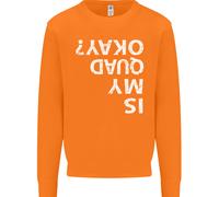 È Il Mio Quad A Posto? Felpa Divertente Uomo