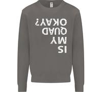 È Il Mio Quad A Posto? Felpa Divertente Uomo