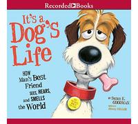 È la vita di un cane: come il migliore amico dell'uomo vede, ascolta e annusa il mondo