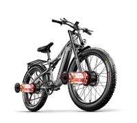 E MTB 26" Doppelschock Biciclette elettriche 2000W 48V E-bike 17.5AH E Trekking